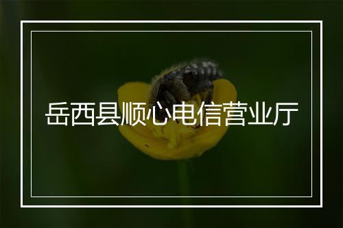 岳西县顺心电信营业厅