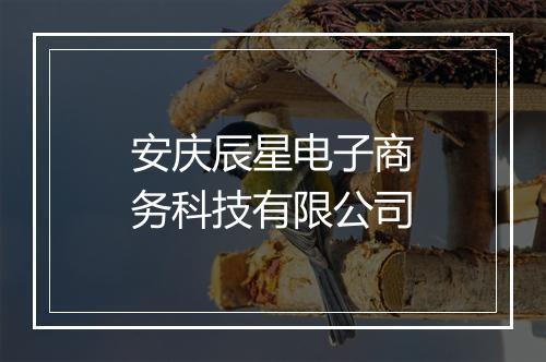 安庆辰星电子商务科技有限公司