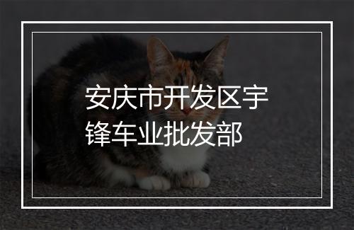 安庆市开发区宇锋车业批发部