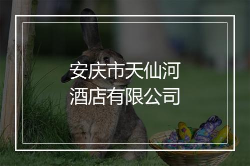 安庆市天仙河酒店有限公司