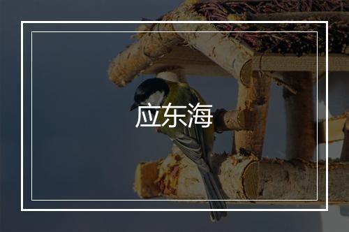 应东海