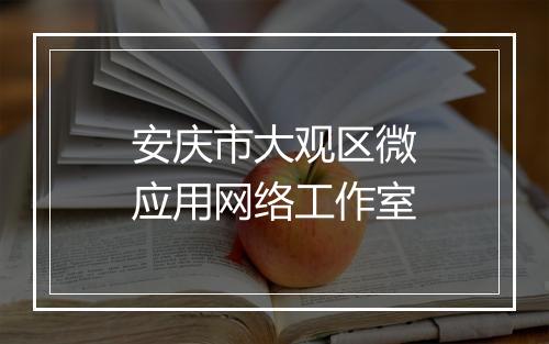 安庆市大观区微应用网络工作室