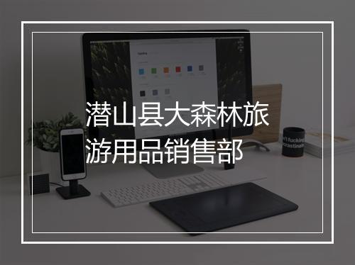 潜山县大森林旅游用品销售部