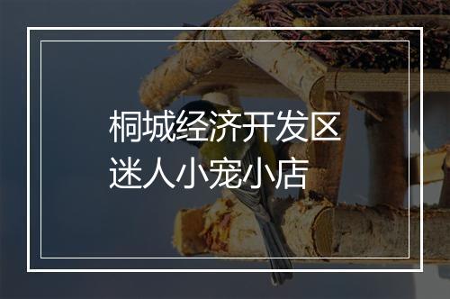 桐城经济开发区迷人小宠小店