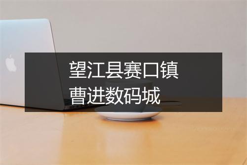 望江县赛口镇曹进数码城