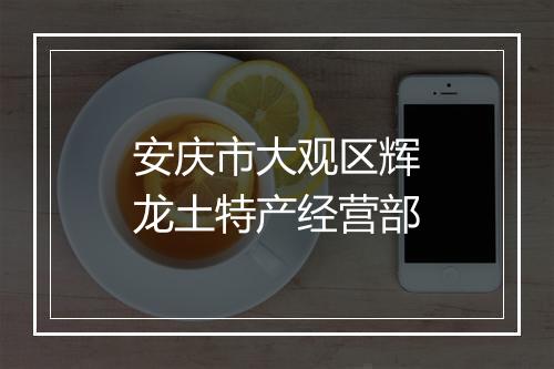 安庆市大观区辉龙土特产经营部