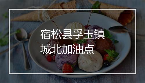 宿松县孚玉镇城北加油点