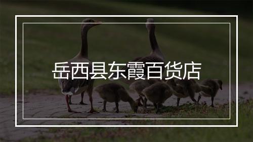 岳西县东霞百货店