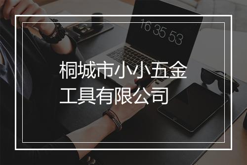 桐城市小小五金工具有限公司