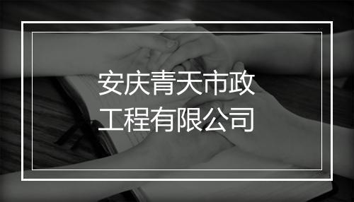 安庆青天市政工程有限公司