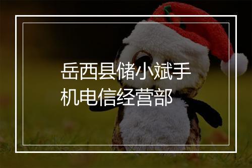 岳西县储小斌手机电信经营部