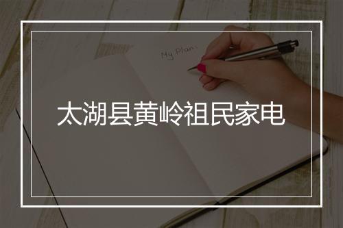 太湖县黄岭祖民家电