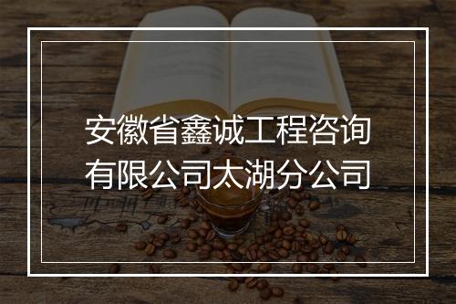 安徽省鑫诚工程咨询有限公司太湖分公司