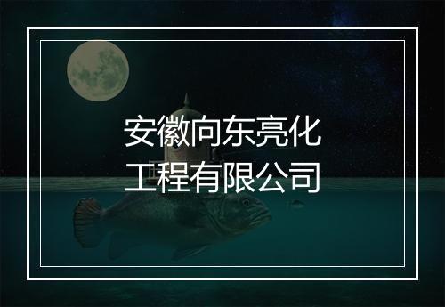 安徽向东亮化工程有限公司
