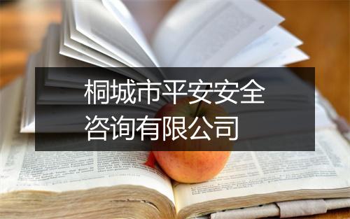 桐城市平安安全咨询有限公司