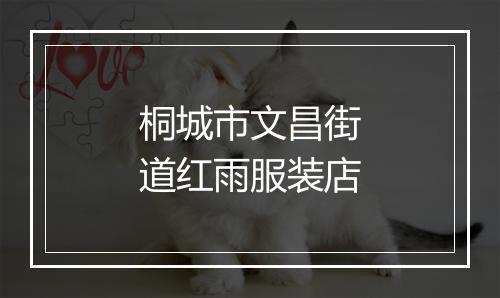 桐城市文昌街道红雨服装店