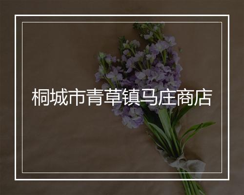 桐城市青草镇马庄商店