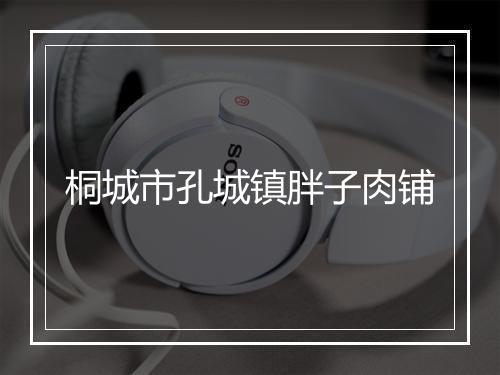 桐城市孔城镇胖子肉铺