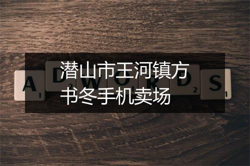 潜山市王河镇方书冬手机卖场