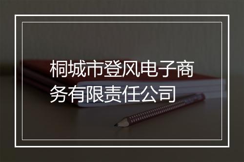 桐城市登风电子商务有限责任公司