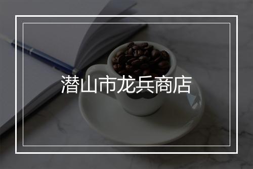 潜山市龙兵商店