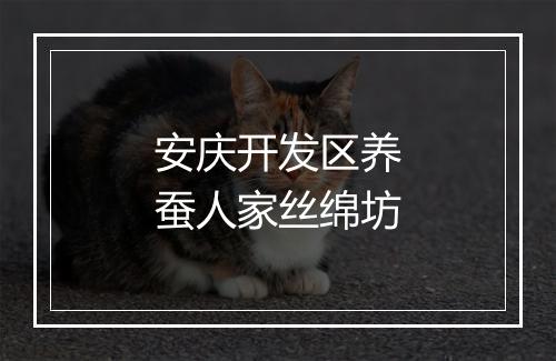 安庆开发区养蚕人家丝绵坊