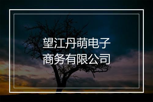 望江丹萌电子商务有限公司