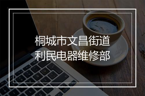 桐城市文昌街道利民电器维修部