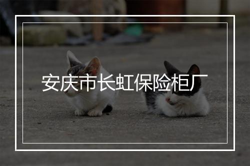 安庆市长虹保险柜厂