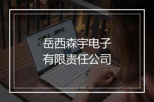 岳西森宇电子有限责任公司