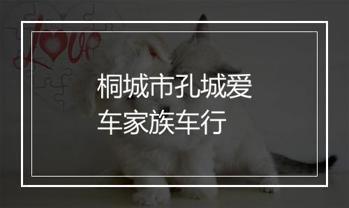 桐城市孔城爱车家族车行