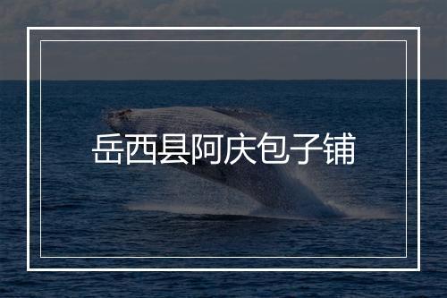 岳西县阿庆包子铺