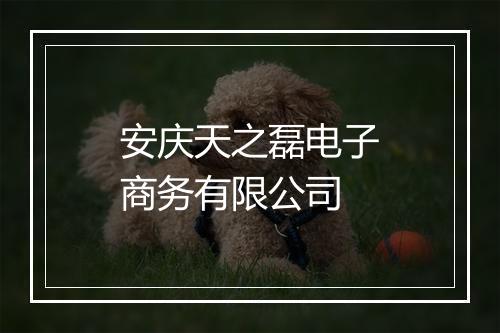 安庆天之磊电子商务有限公司