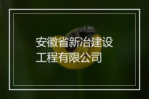安徽省新冶建设工程有限公司