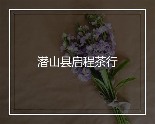 潜山县启程茶行