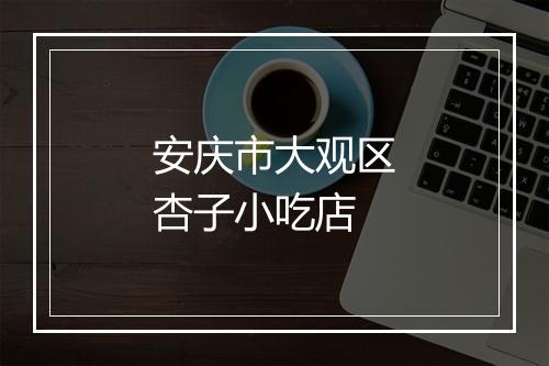安庆市大观区杏子小吃店