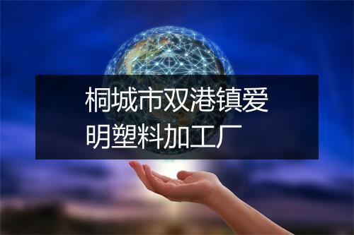 桐城市双港镇爱明塑料加工厂