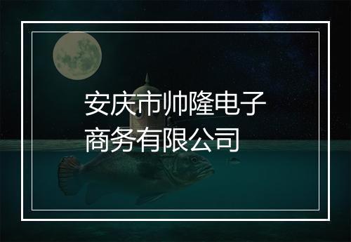 安庆市帅隆电子商务有限公司