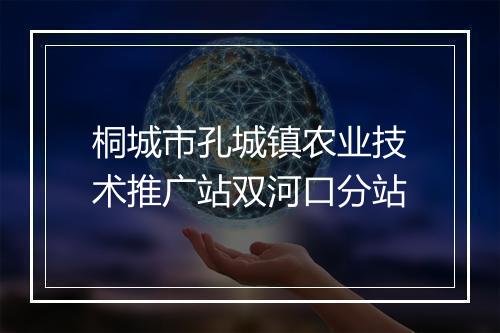 桐城市孔城镇农业技术推广站双河口分站