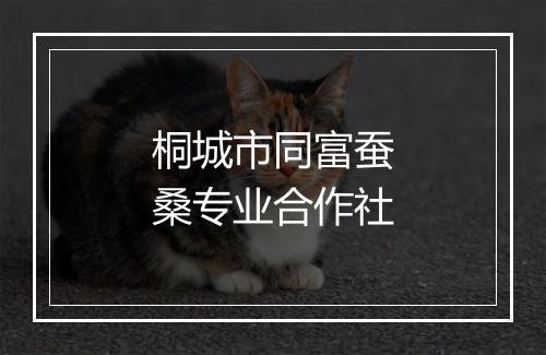 桐城市同富蚕桑专业合作社