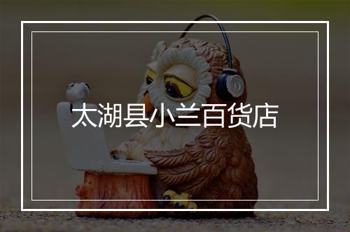 太湖县小兰百货店