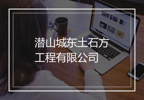 潜山城东土石方工程有限公司