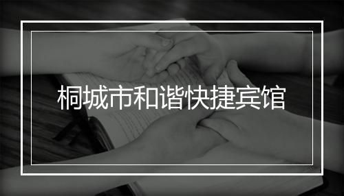 桐城市和谐快捷宾馆