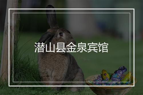 潜山县金泉宾馆