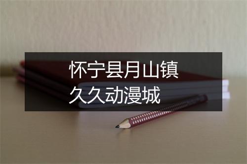 怀宁县月山镇久久动漫城