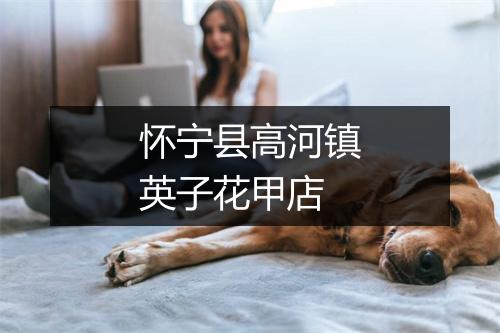 怀宁县高河镇英子花甲店
