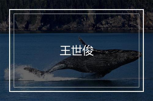 王世俊