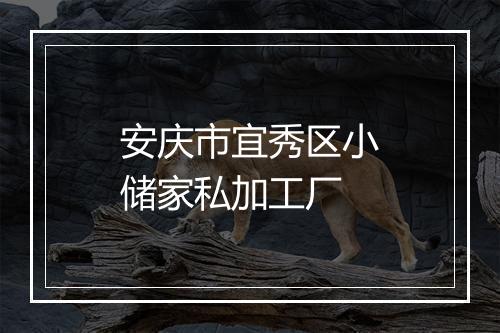 安庆市宜秀区小储家私加工厂