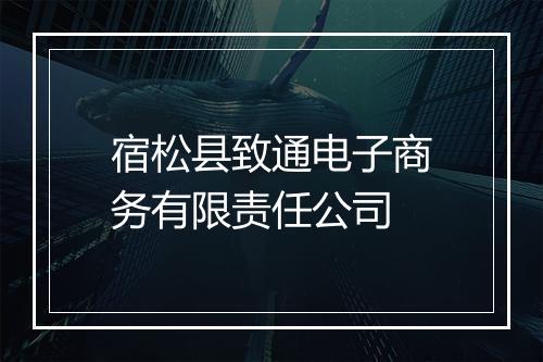 宿松县致通电子商务有限责任公司
