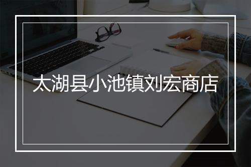 太湖县小池镇刘宏商店